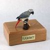 gray african parrot pet urn PetsToRemember.com