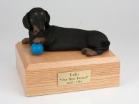 Dog, Dachshund, Black