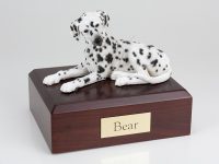 Dog, Dalmatian