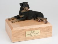 Dog, Rottweiler