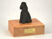 Dog, Poodle, Black