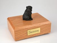 Dog, Shar Pei, Black