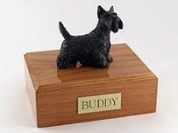 Dog, Scottish Terrier Standing