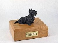 Dog, Scottish Terrier, Black