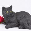 shorthair-cat-all-black