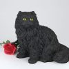longhair-cat-black