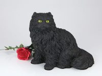 Longhair Cat – Black