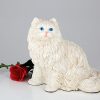 longhair-cat-white