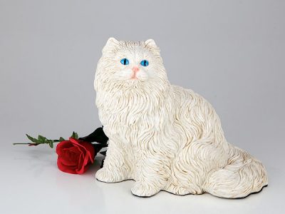 longhair-cat-white