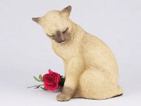 Siamese Cat – Tan