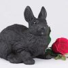 rabbit-black