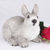 rabbit-gray-white