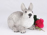 Rabbit – Gray & White