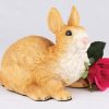 rabbit-brown-white-2
