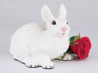 Rabbit – White