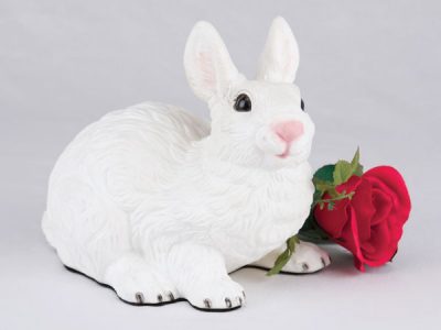 rabbit-white