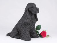 Cocker Spaniel, Black