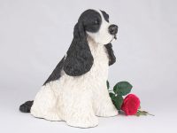 Cocker Spaniel, Black & White