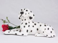 Dalmatian