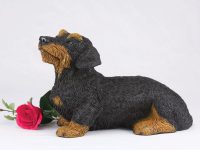 Dachshund, Wirehaired, Black & Tan