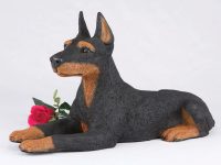 Doberman Pincher, Ears Up, Black