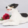 jack russell terrier figurine PetsToRemember.com