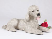 Poodle, Standard, Gray