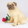 fawn pug figurine PetsToRemember.com