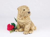 Shar Peis, Tan