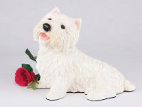 West Highland Terrier