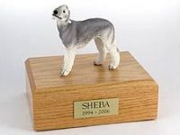 Dog, Bedlington Terrier, Gray