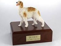 Dog, Borzoi, Standing