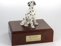 Dog, Dalmatian, Sitting