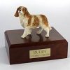 dog-king-charles-spaniel-standing