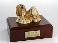 Dog, Lhasa Apso Standing