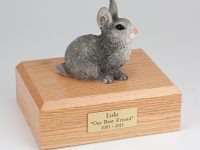 Rabbit, Gray