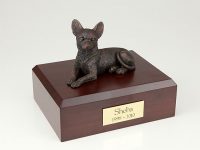 Dog, Chihuahua, Bronze