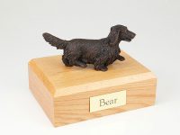 Dog, Dachshund, Long-haired, Bronze