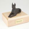 dog-doberman-bronze-ears-up