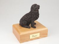 Dog, Newfoundland, Bronze