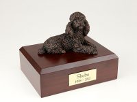 Dog, Poodle, Bronze