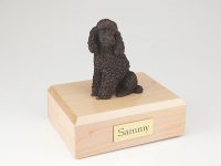 Dog, Poodle, Bronze