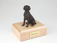 Dog, Weimaraner, Bronze