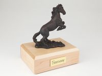 Horse, Bronze