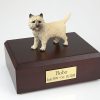 dog-cairn-terrier