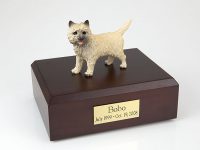 Dog, Cairn Terrier