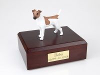 Dog, Fox Terrier, Smooth-Brown/White