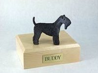 Dog, Kerry Blue Terrier