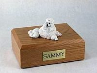 Dog, Poodle, White – show cut