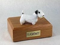 Dog, Sealyham Terrier